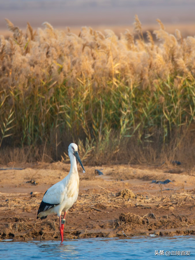 好客山东好品山东｜初雪来了！山东变山“冬”