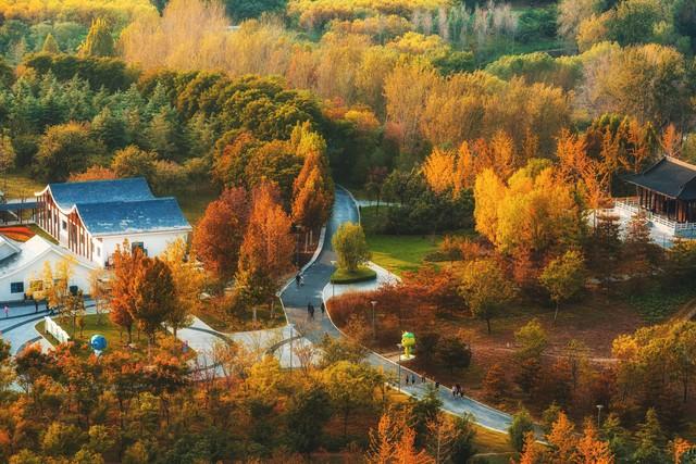 郑州秋日旅行天花板！这4个市内秋游美到难忘，最后一个印象深刻