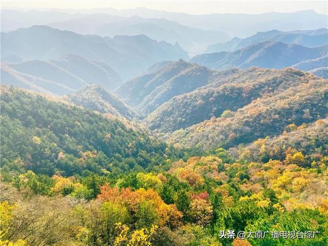 山西这座小城，藏着让人“意外”的风景
