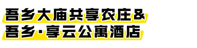 海口经济圈 | 文昌宠粉福利来袭→