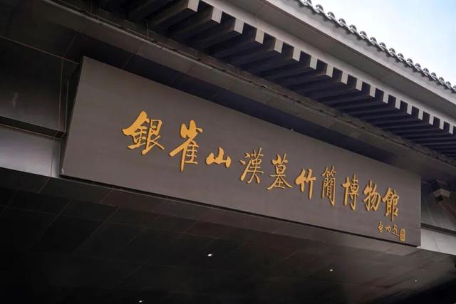 拒绝冬日 emo！临沂这些室内场馆，遛娃打卡放空全拿捏