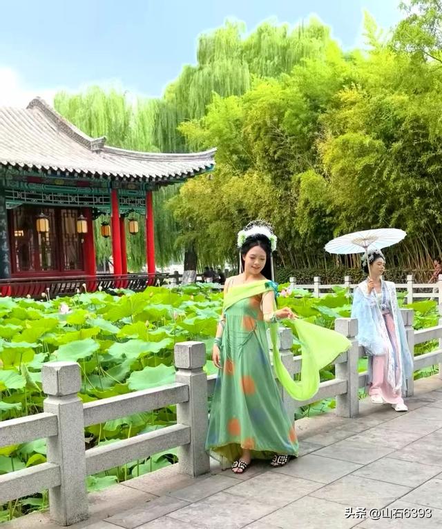 《雨荷厅畔荷香美女乐》～新华社原军事记者陶俊峰泉城大明湖美拍