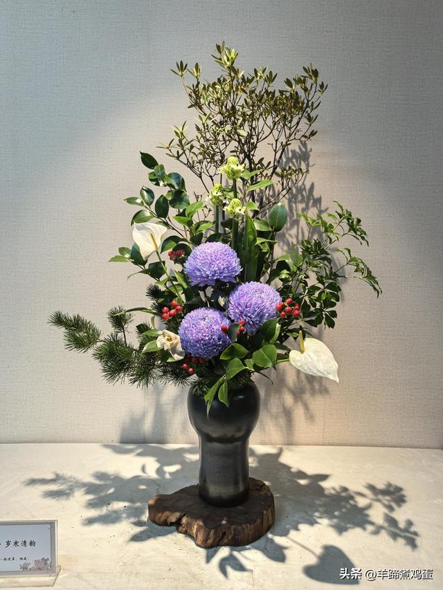 秋风独宠一园菊，晚来香艳出樊篱——北京北海公园2025年菊花展