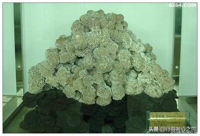 山东行游影记（31）—平邑天宇自然博物馆（六）