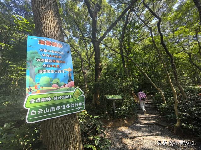 白云山首条森林康养径