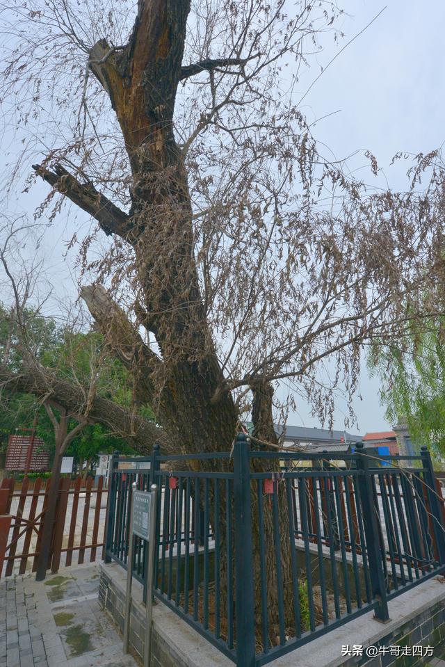 宝坻小辛码头：古渡辛埠藏雅韵，漕声千载忆根源