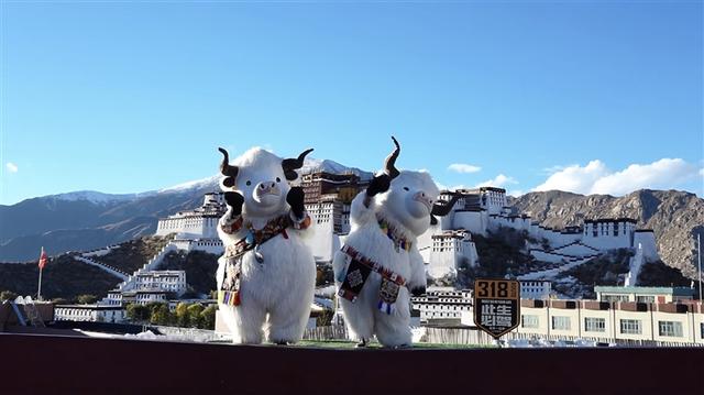 拉萨河“牦牛天团”打卡热潮点燃高原夜经济