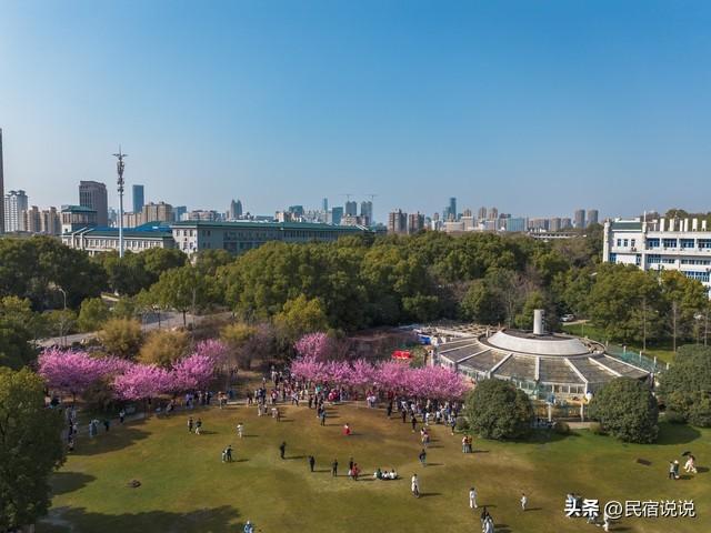 武汉赏樱花秘境，一篇告诉大家