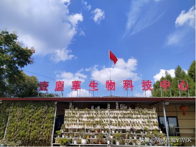 当山水遇见中医药！绵阳这9条中医药健康旅游精品线路等你来打卡