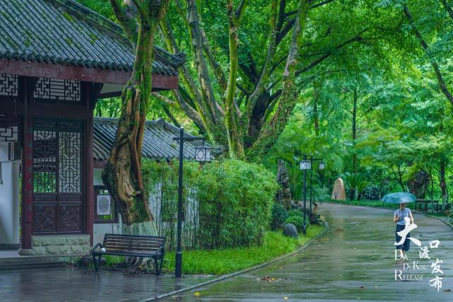 下雨天，大渡口这些地方美成「烟雨江南」，快去拍！
