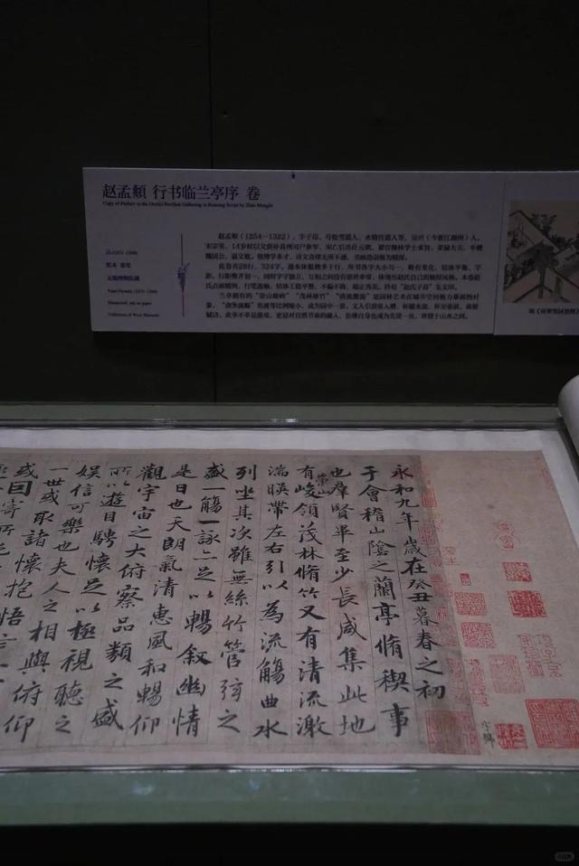 从狮子山到博物馆，苏州人“晨”会玩