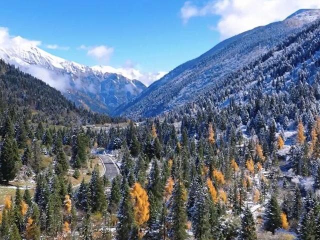 达古冰川 “季节盲盒” | 山顶雪堆成画，山下彩林留余韵