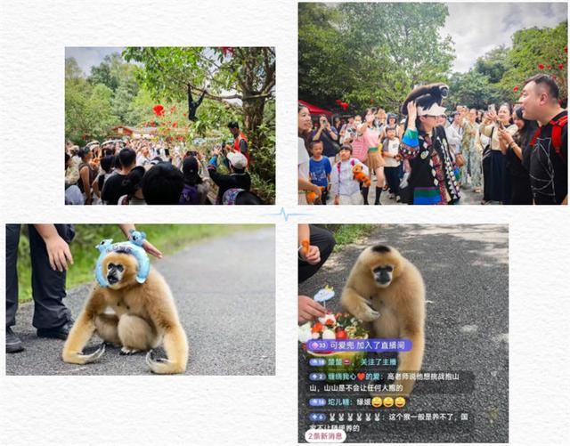 国庆回顾 | 你绝对想不到，这些景区活动有多会玩