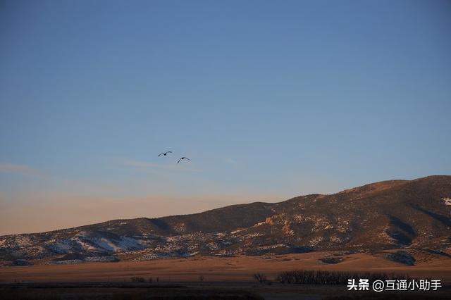 佳能的“标志性套头”——RF 24-105mm f/4L IS USM 镜头评测