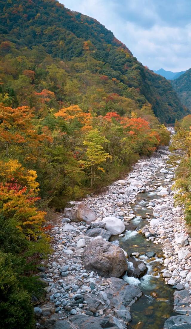 正式通车！全线免费！新挖赏秋天花板小城，绝美彩林不输九寨！地道美食50元吃爽！