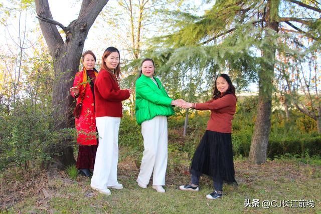 河南淮滨：落羽杉红了，美女们来啦！