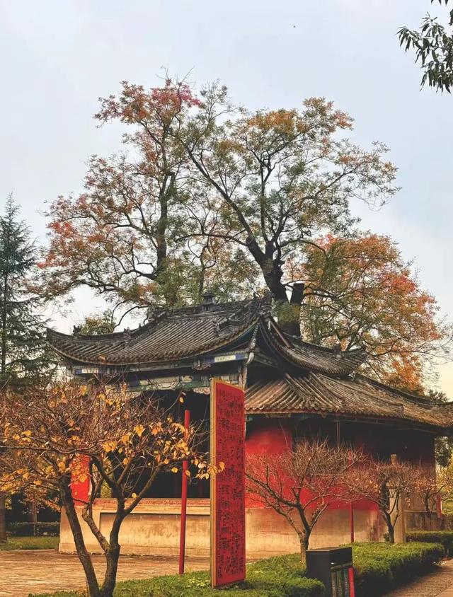 与意公子同游：三国遗韵里的勉县暖冬