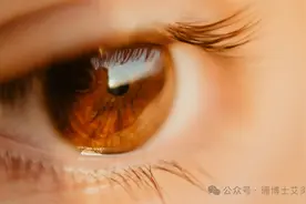 惊！互联网时代下的 “人未老珠已黄”，眼病数据令人咋舌图片