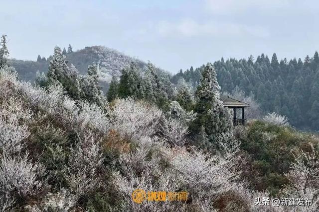 江西多地出现大片雾凇！马上又要反转！即将升温→