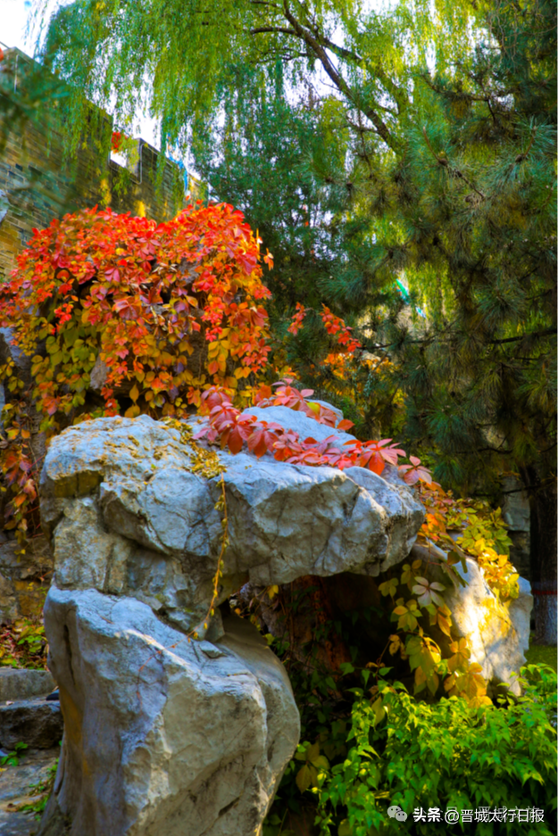 现在，来晋城这里刚刚好 →