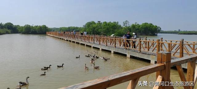 【黄河口生态旅游区】开学季 奔赴自然之美