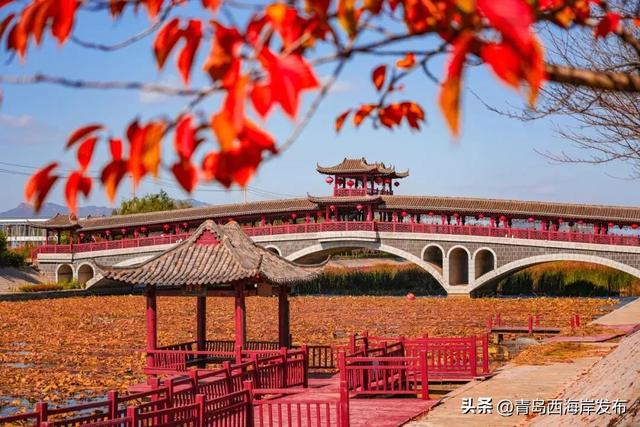 走不出这画了,我已被西海岸的秋景迷倒 🥹