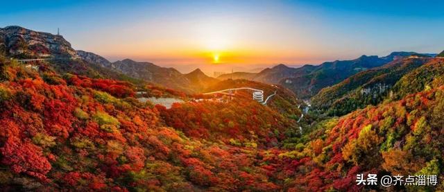 最佳赏红期已至——红叶柿岩开启“全红模式”！