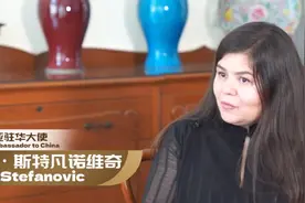 塞尔维亚驻华大使用中文向中国朋友致意：距离很远，心灵很近图片