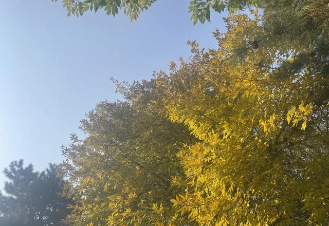 心理学家：和青春期孩子相处，装聋作哑、心宽手懒、演技好