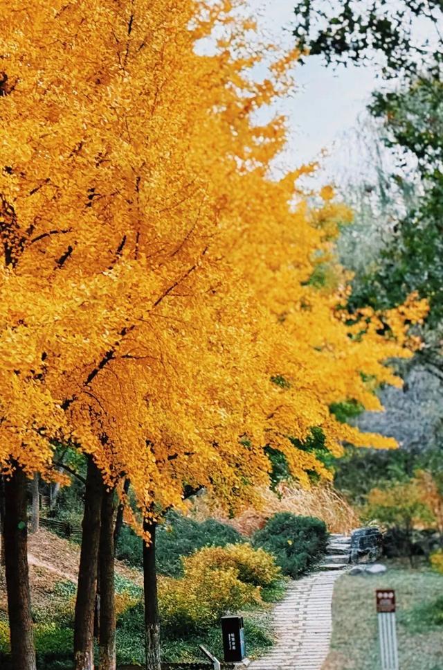 初雪定档！丰台冬日氛围组已就位！这10种浪漫玩法，暖到你心里～