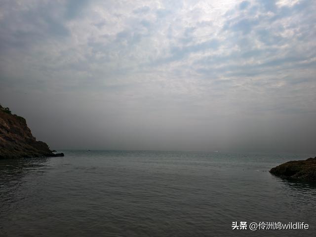 大连海之韵公园·棒槌岛