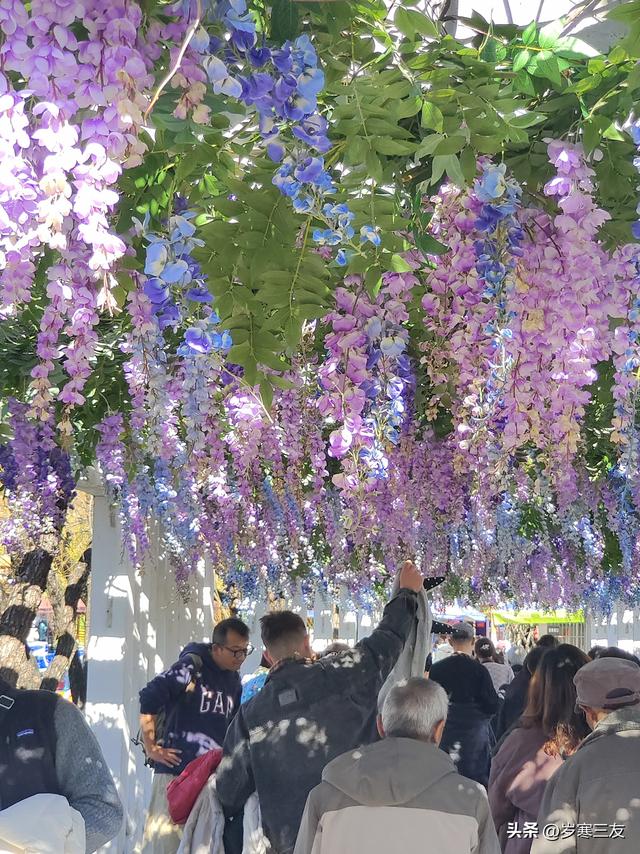 冬日的昆明翠湖