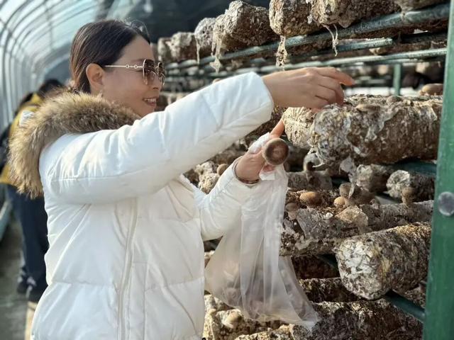 刚刚传来，颍东竟有这么多宝藏地？！今天，好多阜阳人都去了！直击现场......