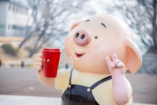 属相猪：12月上旬	，注意口舌之争，多花费精力在别的事情上！