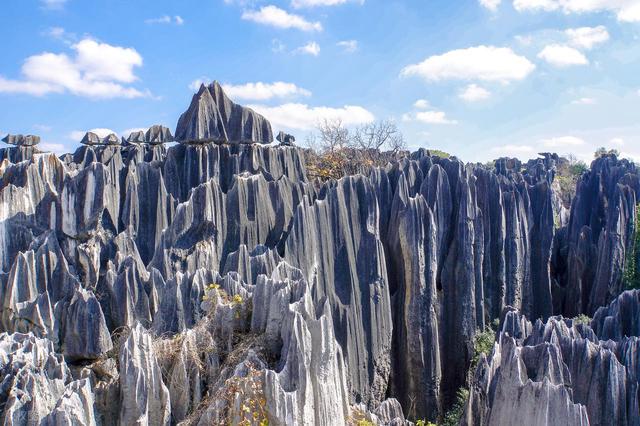 你所不知道的云南十八怪——石头长在云天外