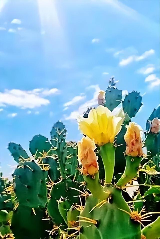 棋子湾必去景点全攻略：解锁海南西海岸的秘境之旅！