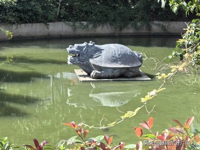 常州城南吴黄禅寺 秋高气爽 丹桂飘香