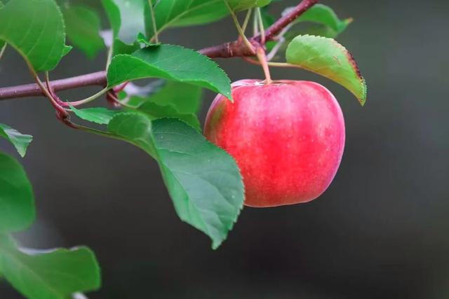 集“线”打卡！“错过集安的秋季，我将无法原谅自己”