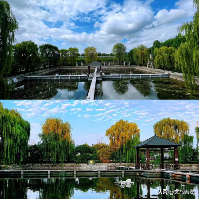 双节游泰安 | “村”游订单已生成~来泰安玩点儿“野”的！（附采摘地图）