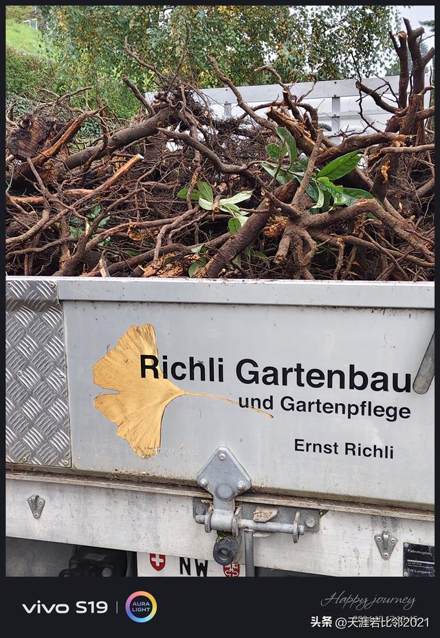 我所接触过的瑞士人