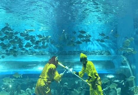 奥特曼在海洋馆大战怪兽？网友：果然一代人有一代人的海洋馆