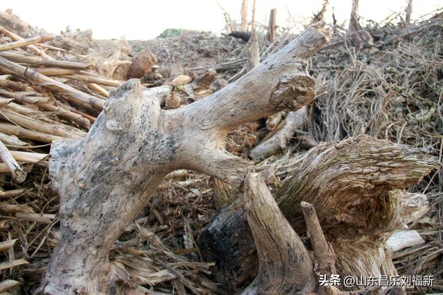 这一次外出闲游感慨颇多