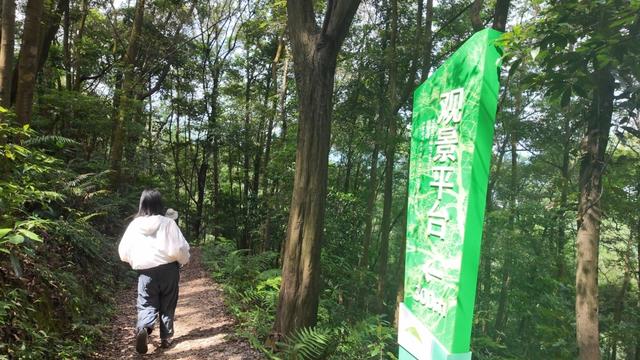 帽峰山森林文化步道完成升级，新增人性化设施迎国庆