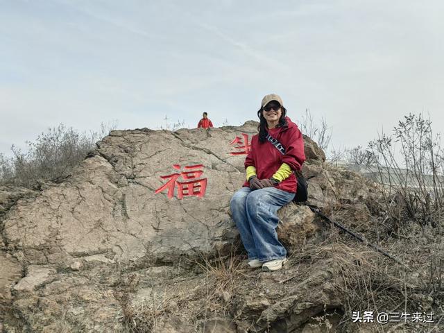 无为在歧路，冬日鹤伴山