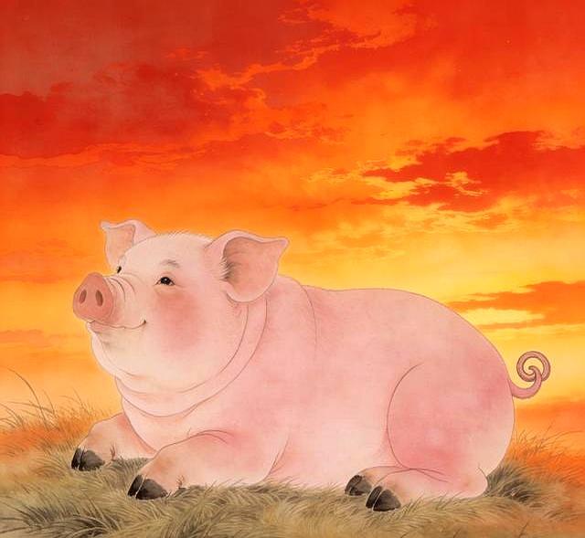 悄悄告诉亥猪，你要大喜临头！12月躲不过四喜，来看看是什么喜？