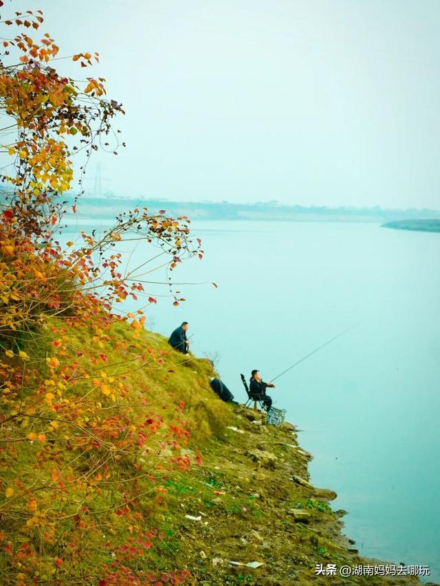 0.5H直达长株潭私藏“小白洋淀”，荻花摇曳处解锁老船厂遛娃秘境！