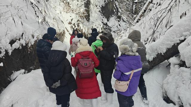 2025-2026新雪季|雪谷穿越：长白山冬日新热点