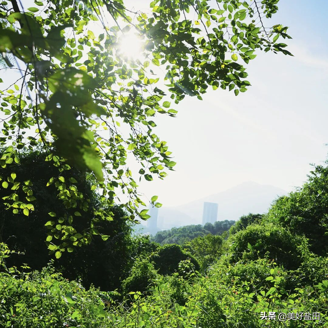 抓住假期的“尾巴”，直奔盐田这些小众宝藏地！