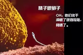 一个婴儿诞生的全过程，14张高清图带你了解，感叹新生命的力量图片