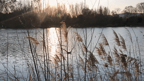 用电影的方式“打开”初冬！每一帧，都浪漫